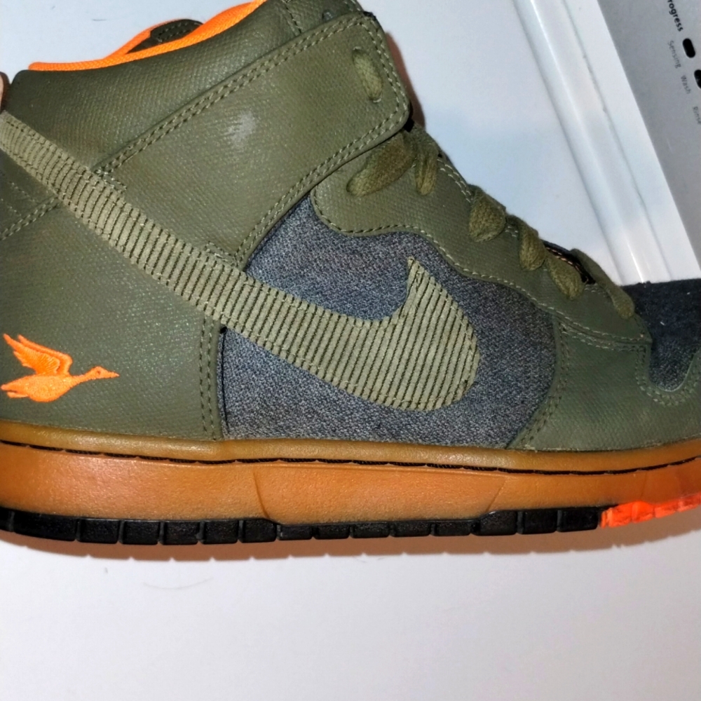 Nike dunk sneakers